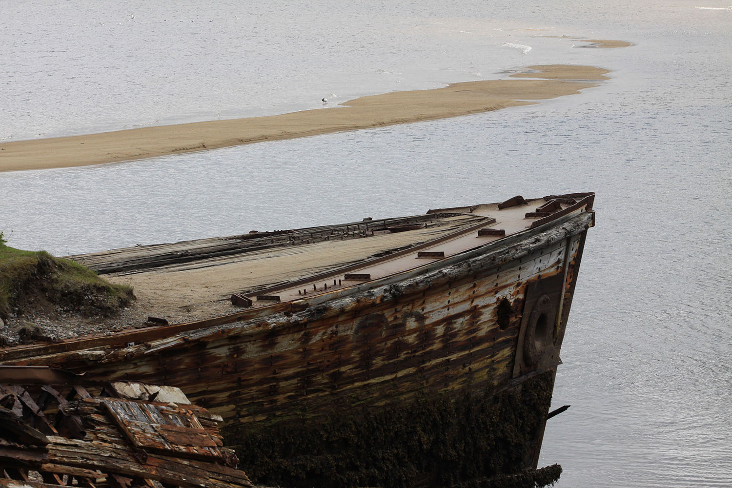 С дороги , щенок!