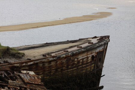 С дороги , щенок!