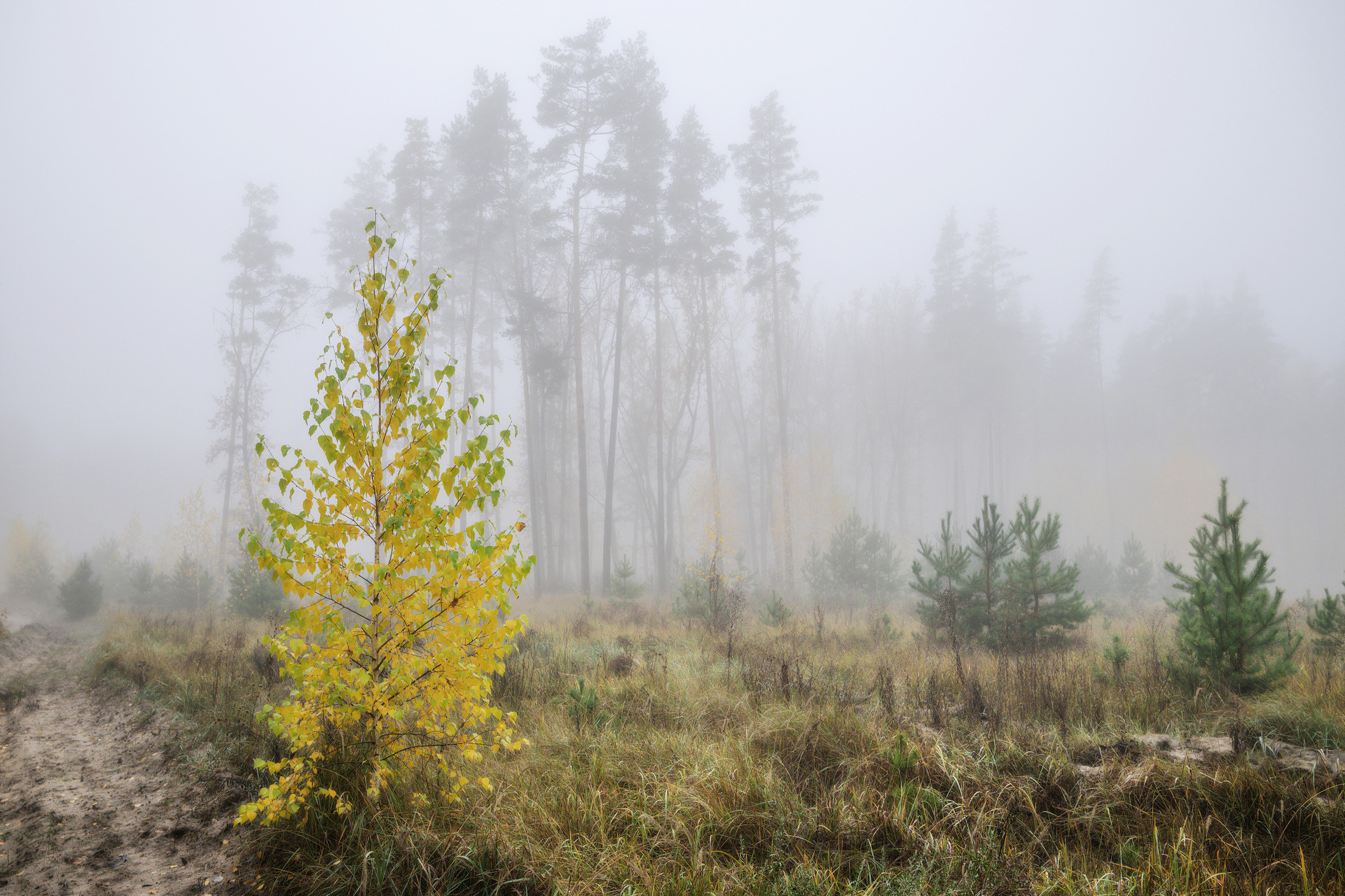 Словно мираж