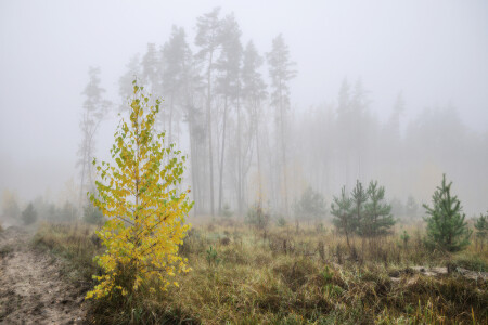 Словно мираж