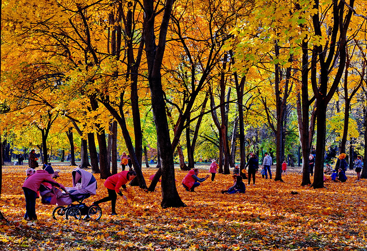 Осеннее великолепие.