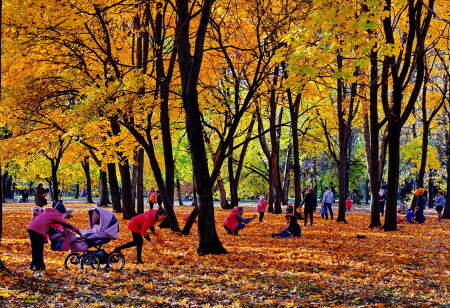 Осеннее великолепие.