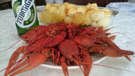 Раки. Свежий улов.