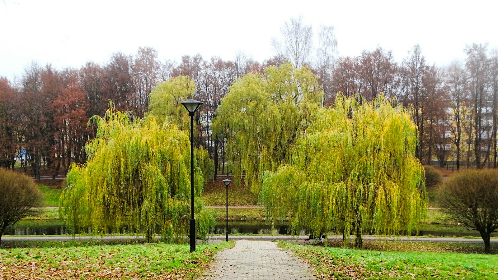 Природа Смоленщины 