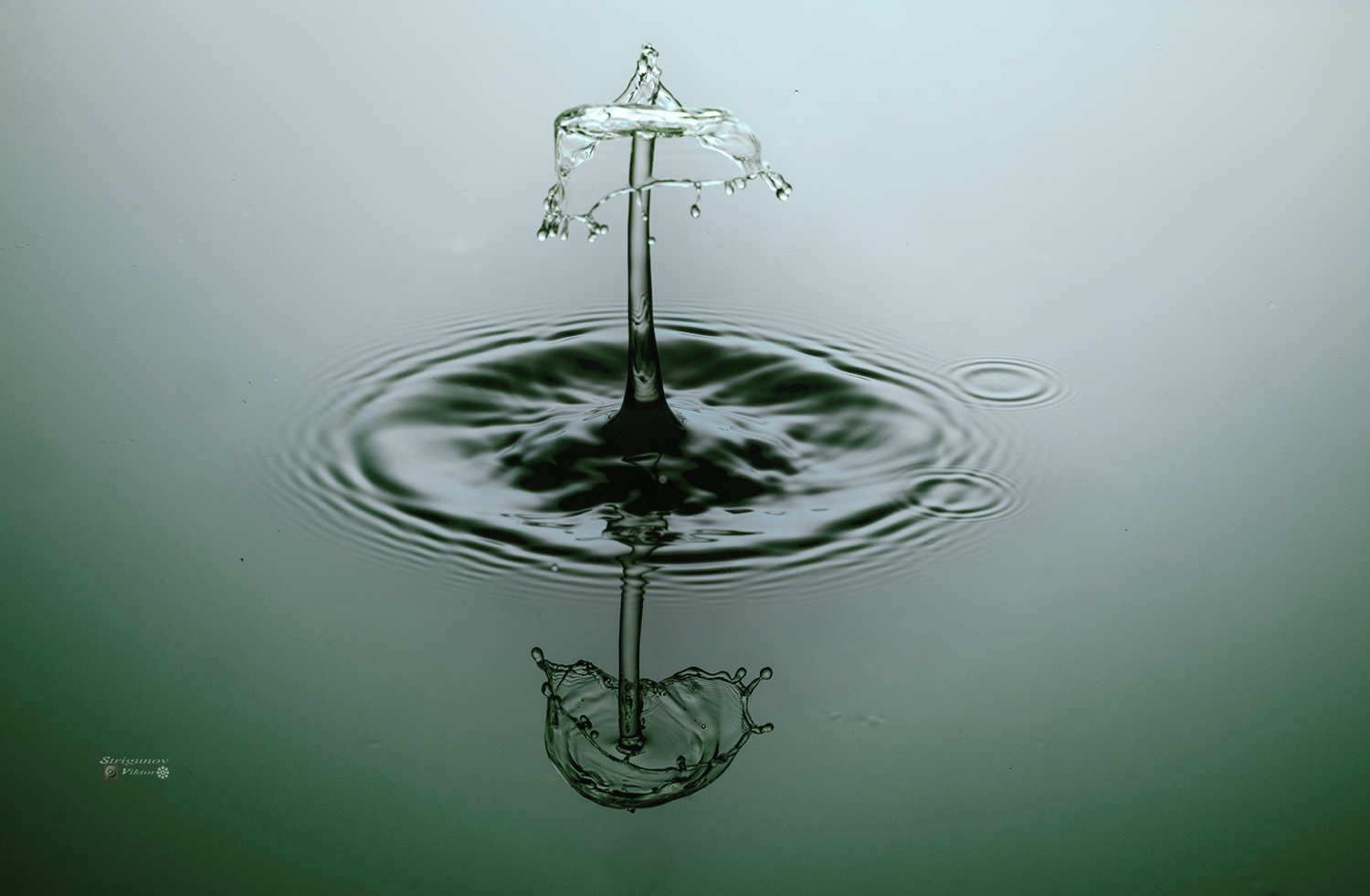 Мир жидкостных фигур.