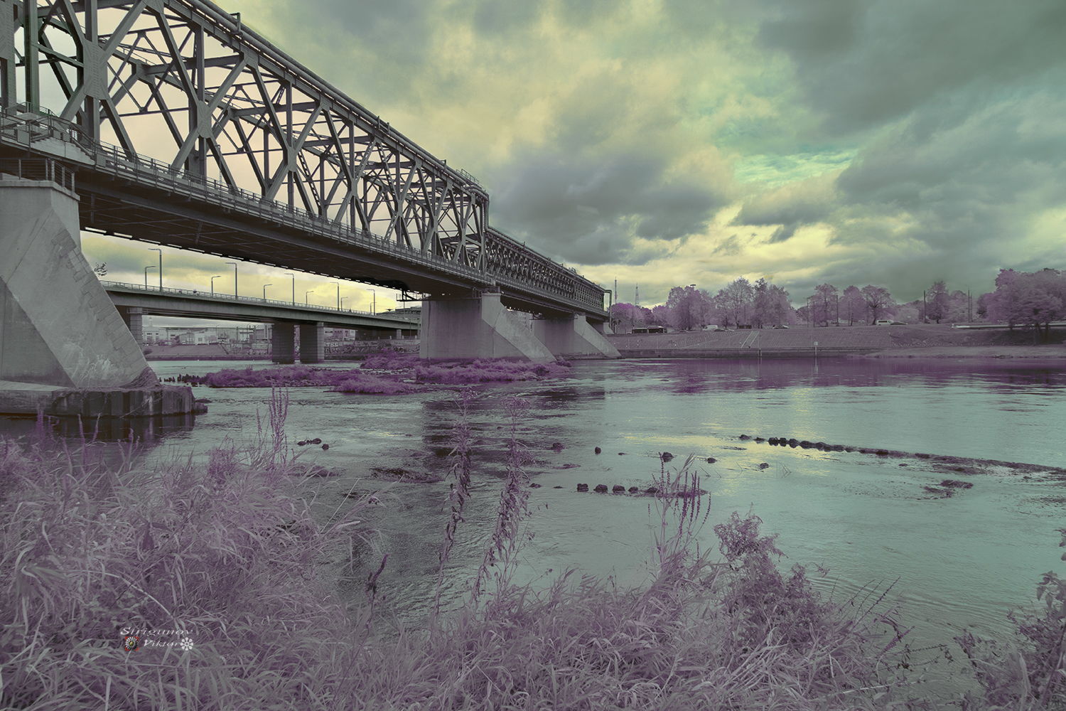 Осень в другом цвете.