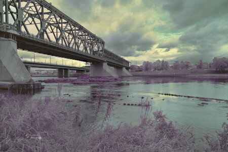 Осень в другом цвете.