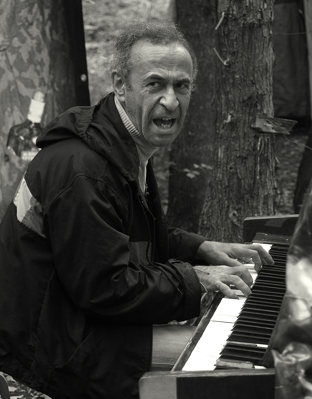 Рояль в кустах