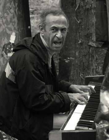 Рояль в кустах