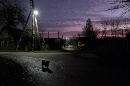Сумерки на окраине