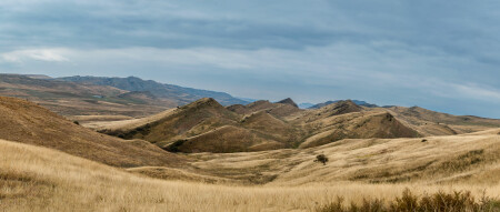 Гареджийская пустыня. Грузия. 