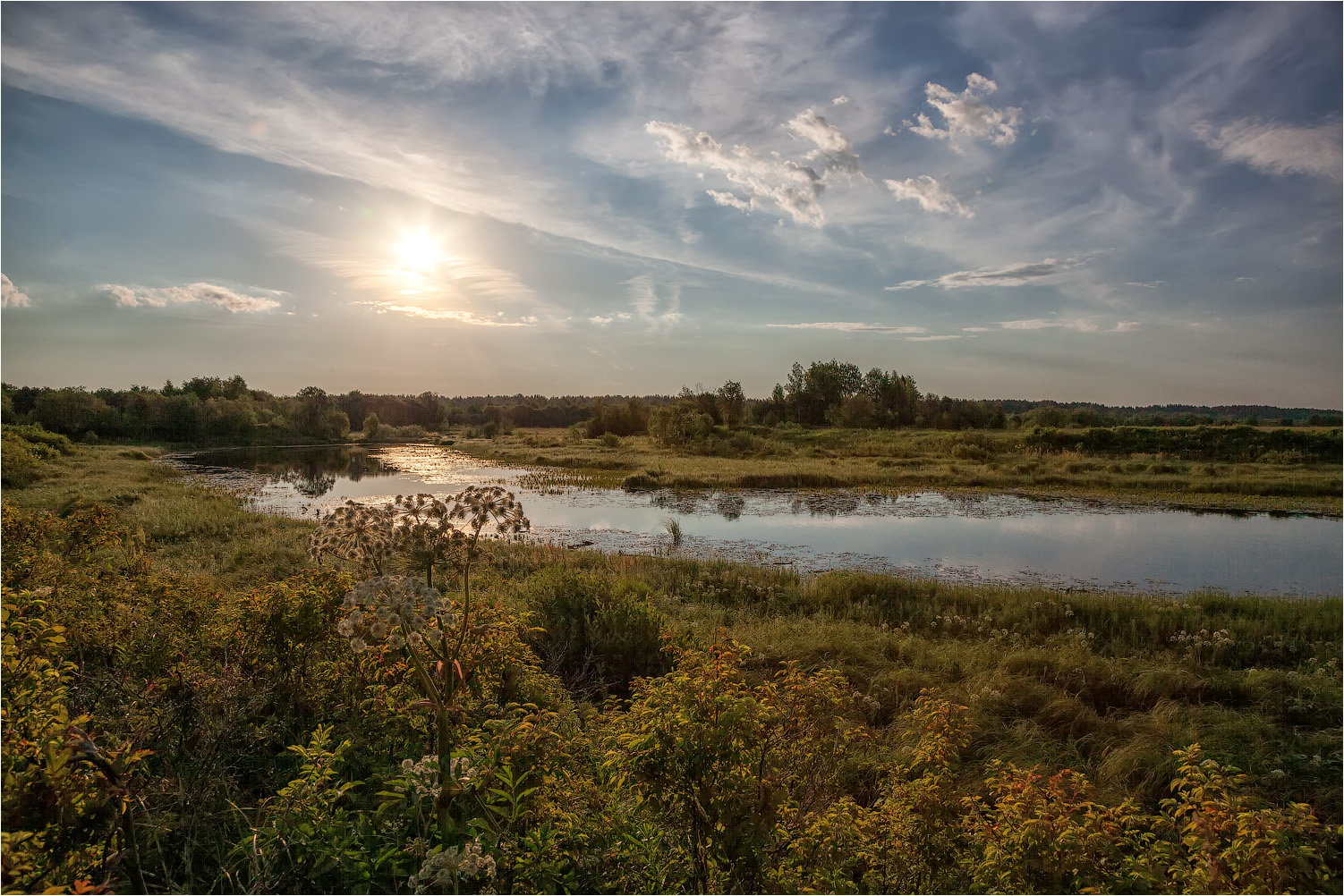 Июльским утром