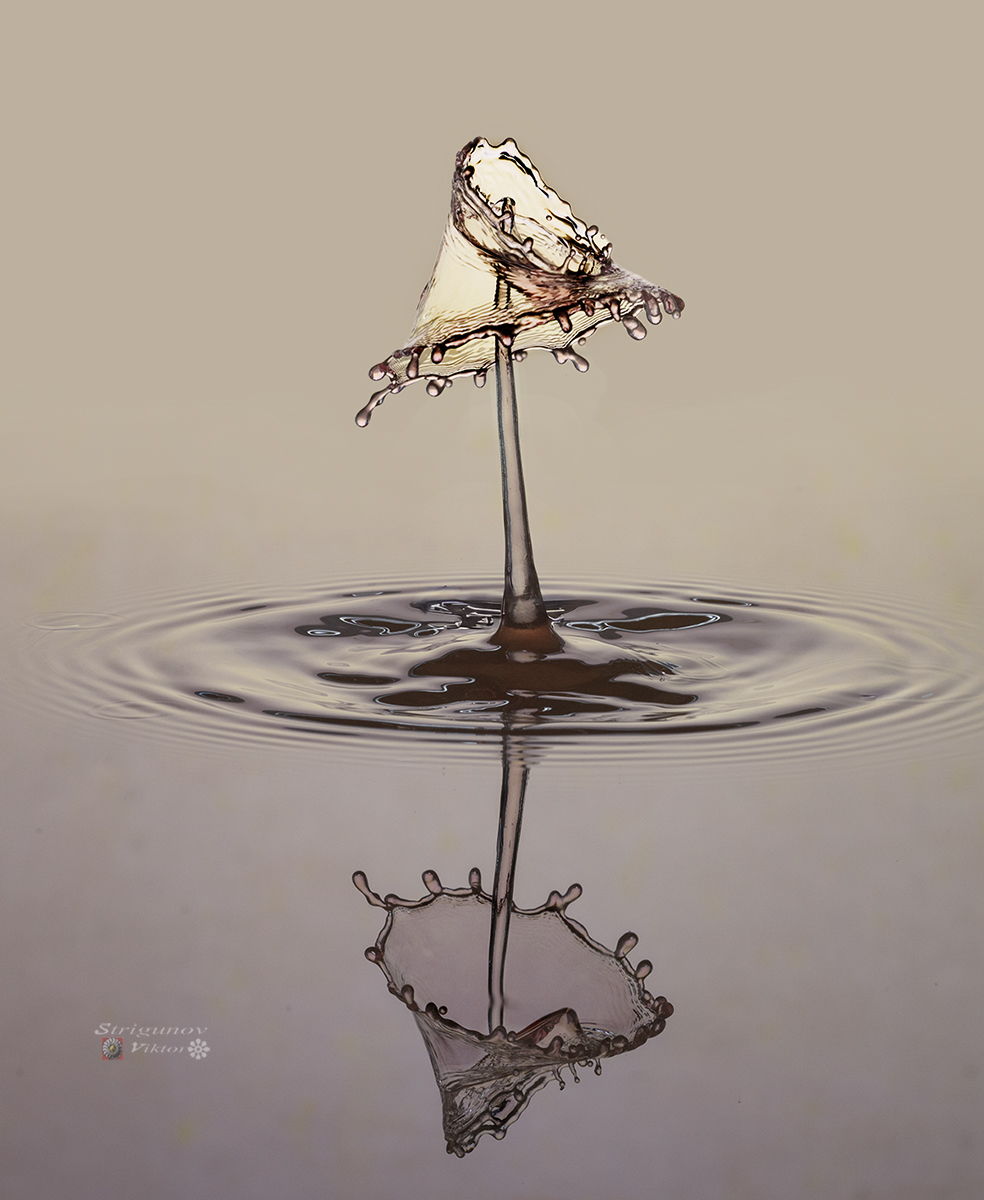 В мире жидкостных фигур.