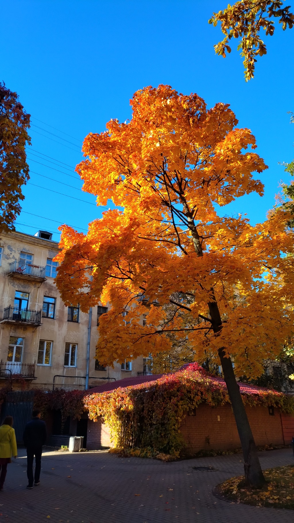 Осень в городе.