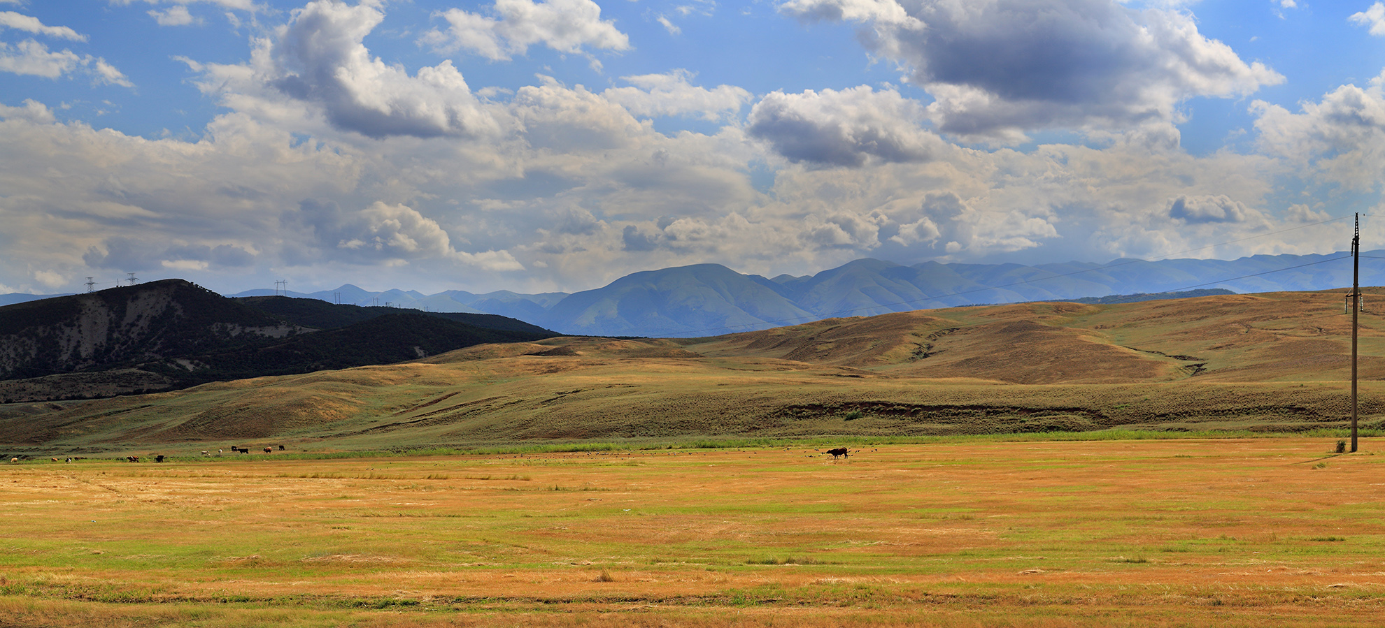 Придорожные зарисовки