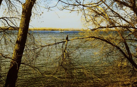 Волга сквозь ветки осенних деревьев...
