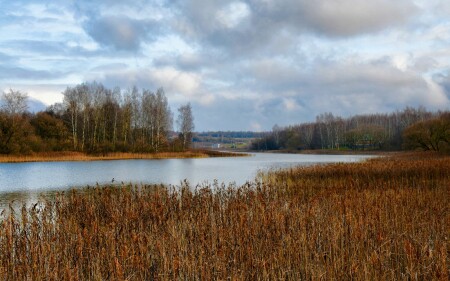 Природа Смоленщины 