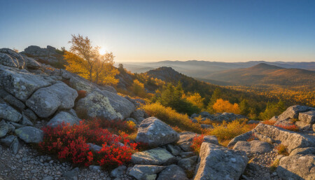 Типичный сюжет