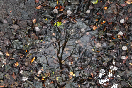 Осеннее отражение