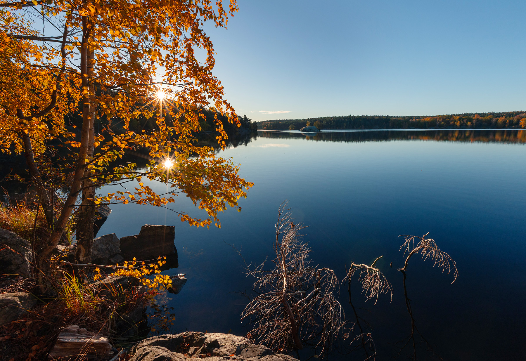 Двойная звезда