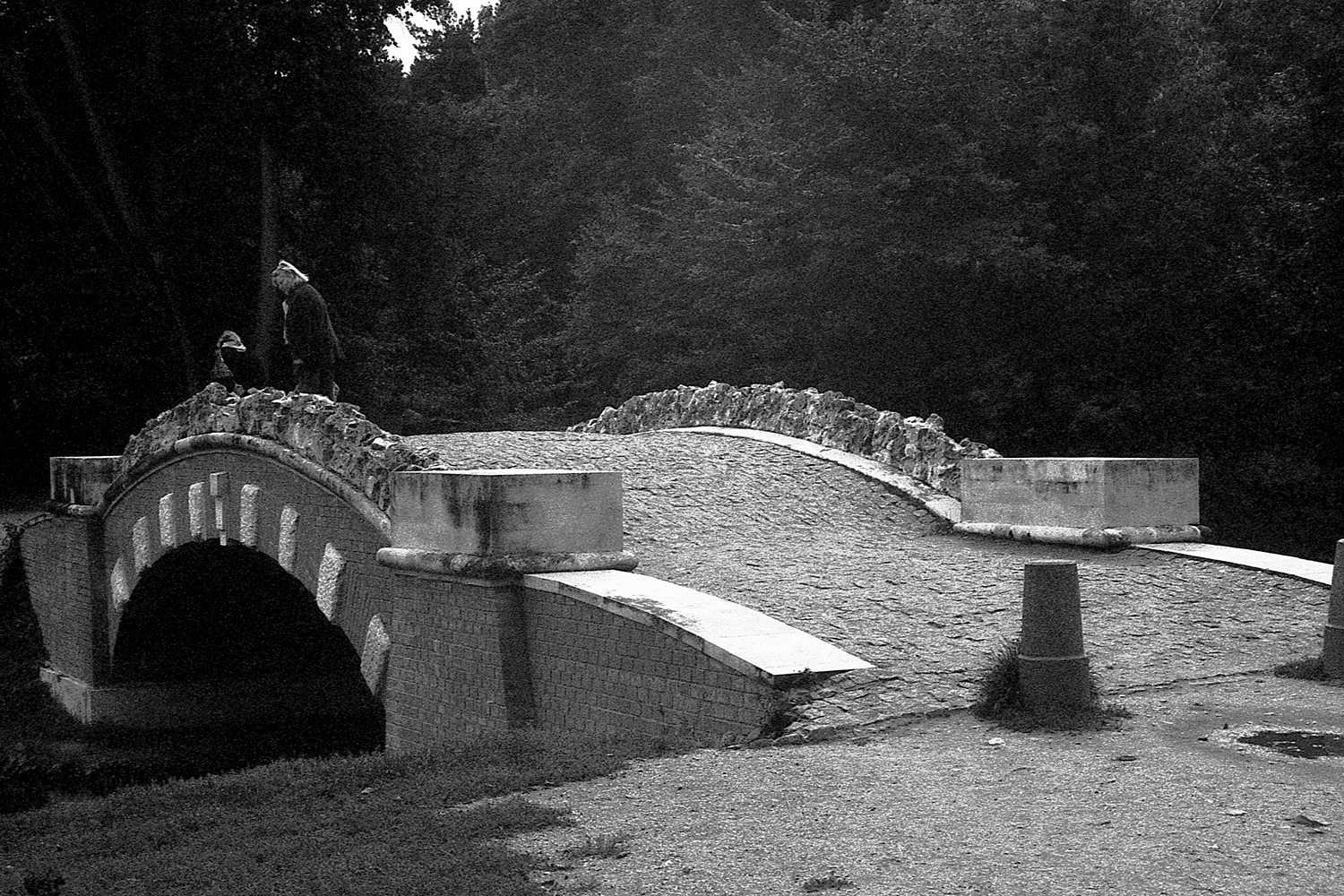 Горбатый мост