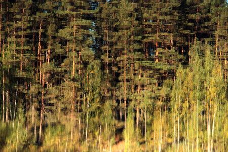 Живопись на водяном холсте