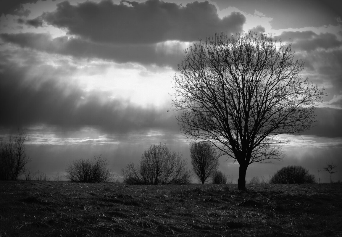 Дыхание Дождя