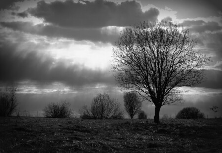 Дыхание Дождя