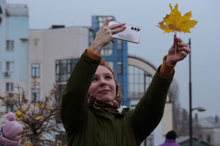 Осенний сувенир.