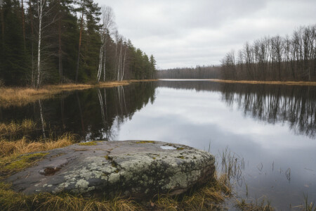 Типичный сюжет