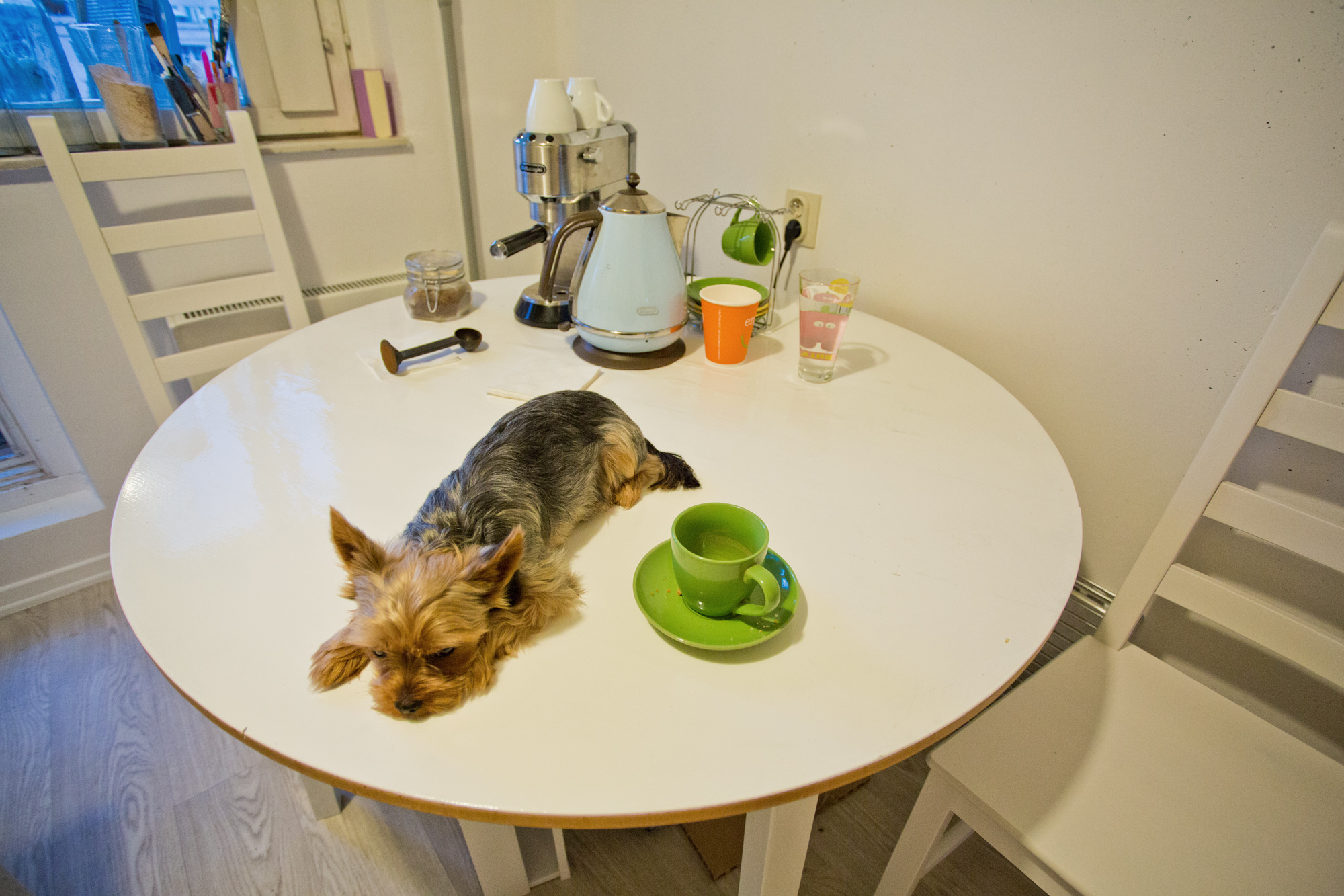 Грустная модель