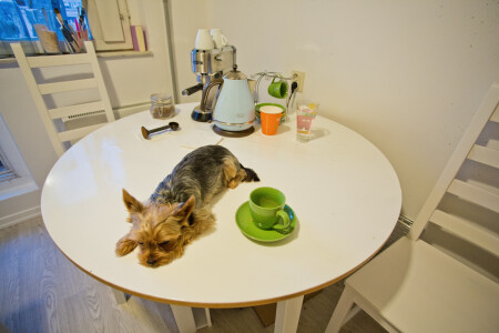 Грустная модель