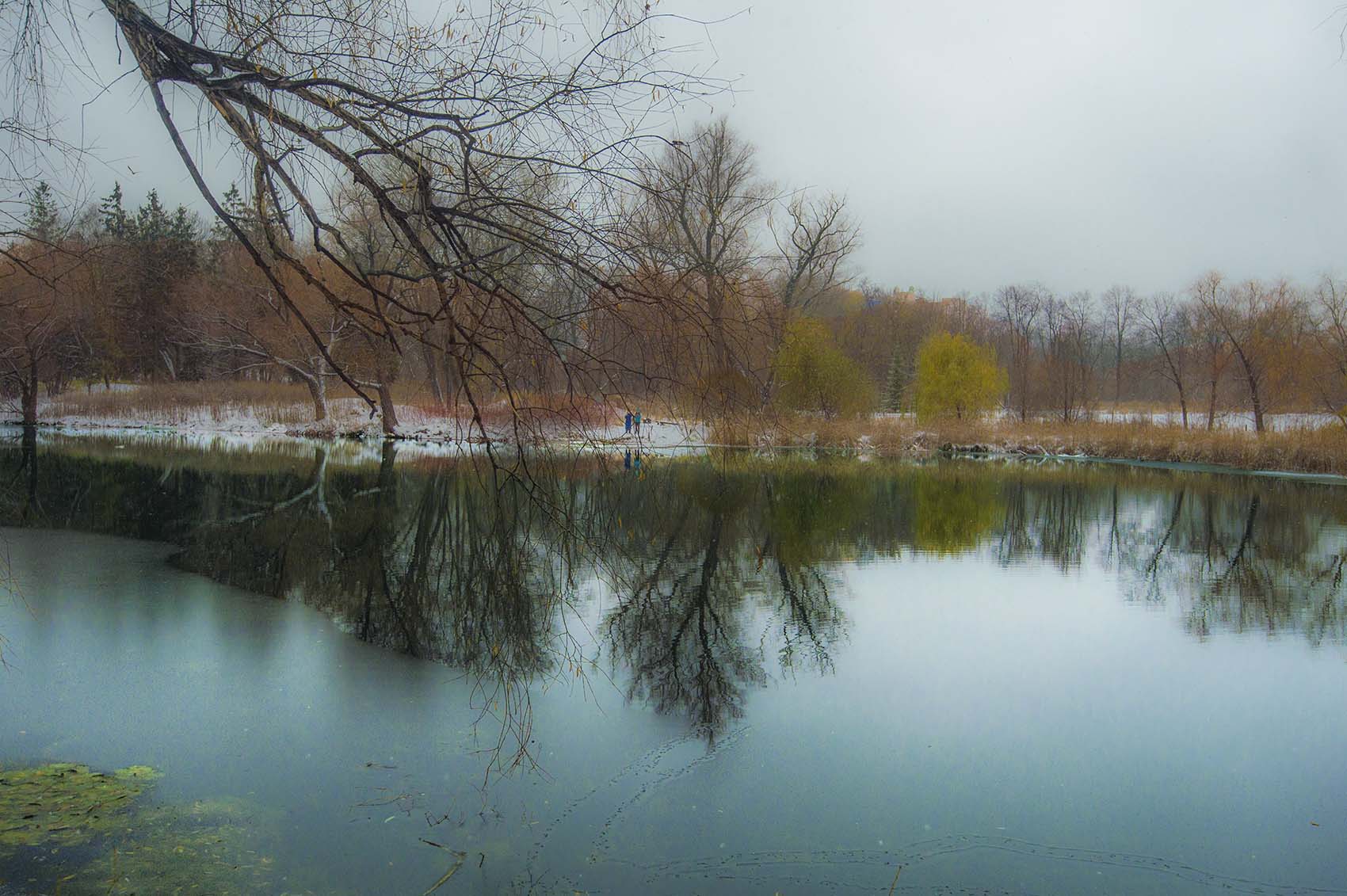 Первый снег