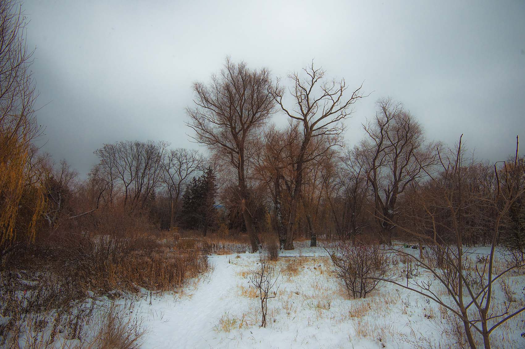 Первый снег