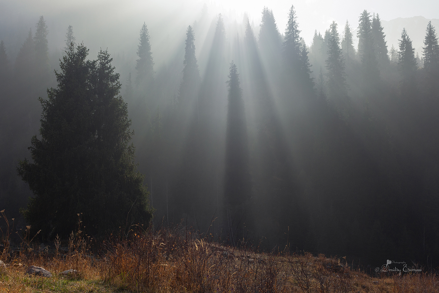 В свой час своя поэзия в природе...