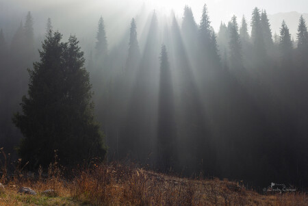 В свой час своя поэзия в природе...