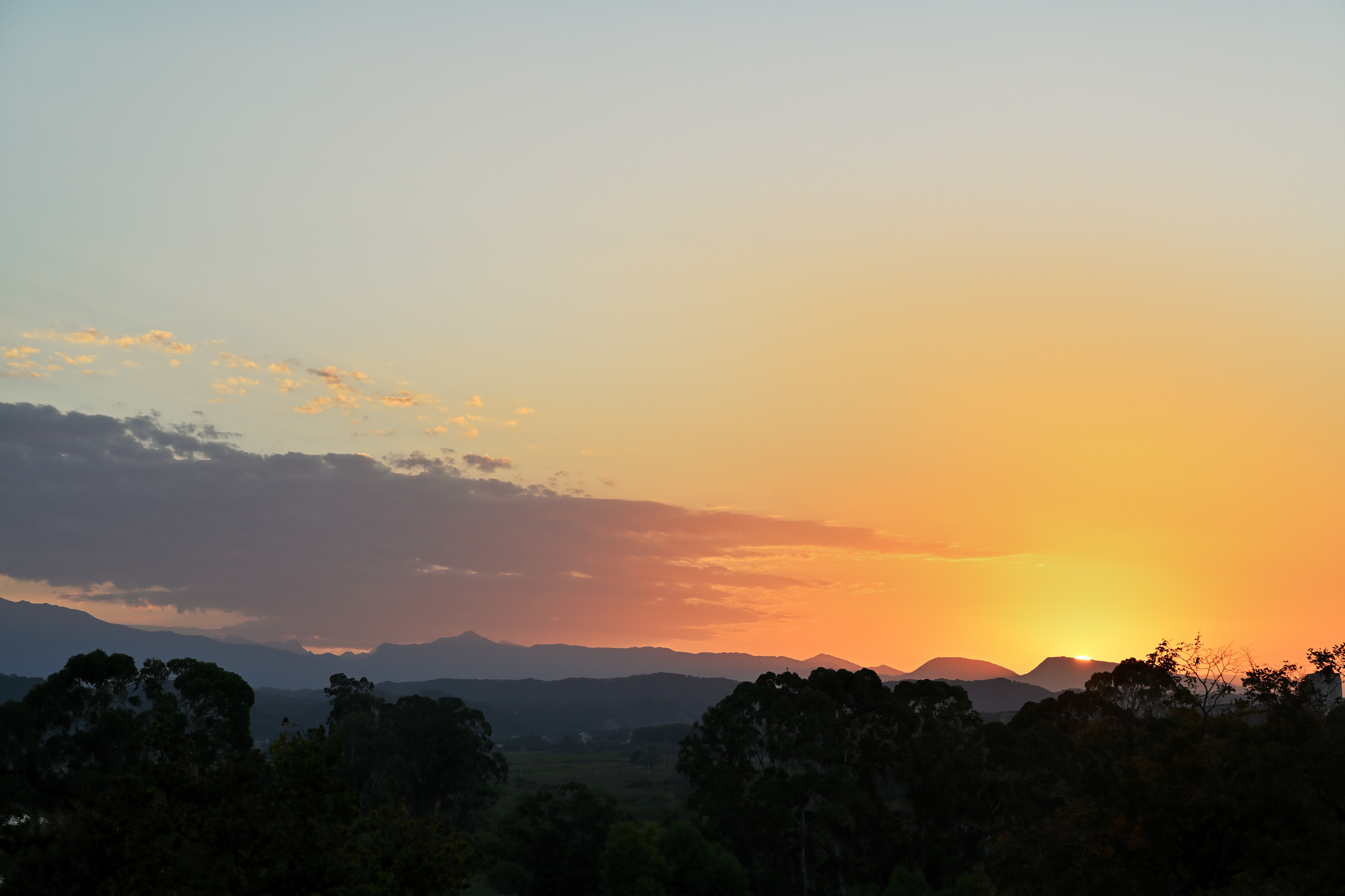 показалось