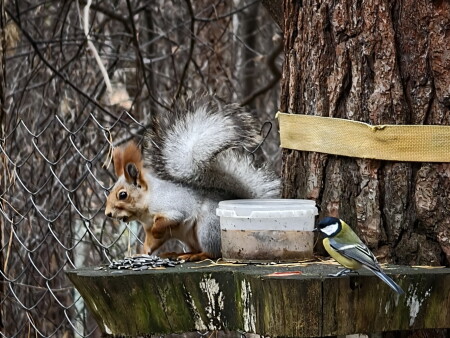 делиться будем или как?