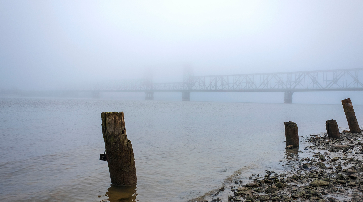 Туманным утром