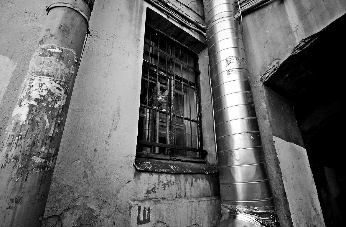 за нами следят *_