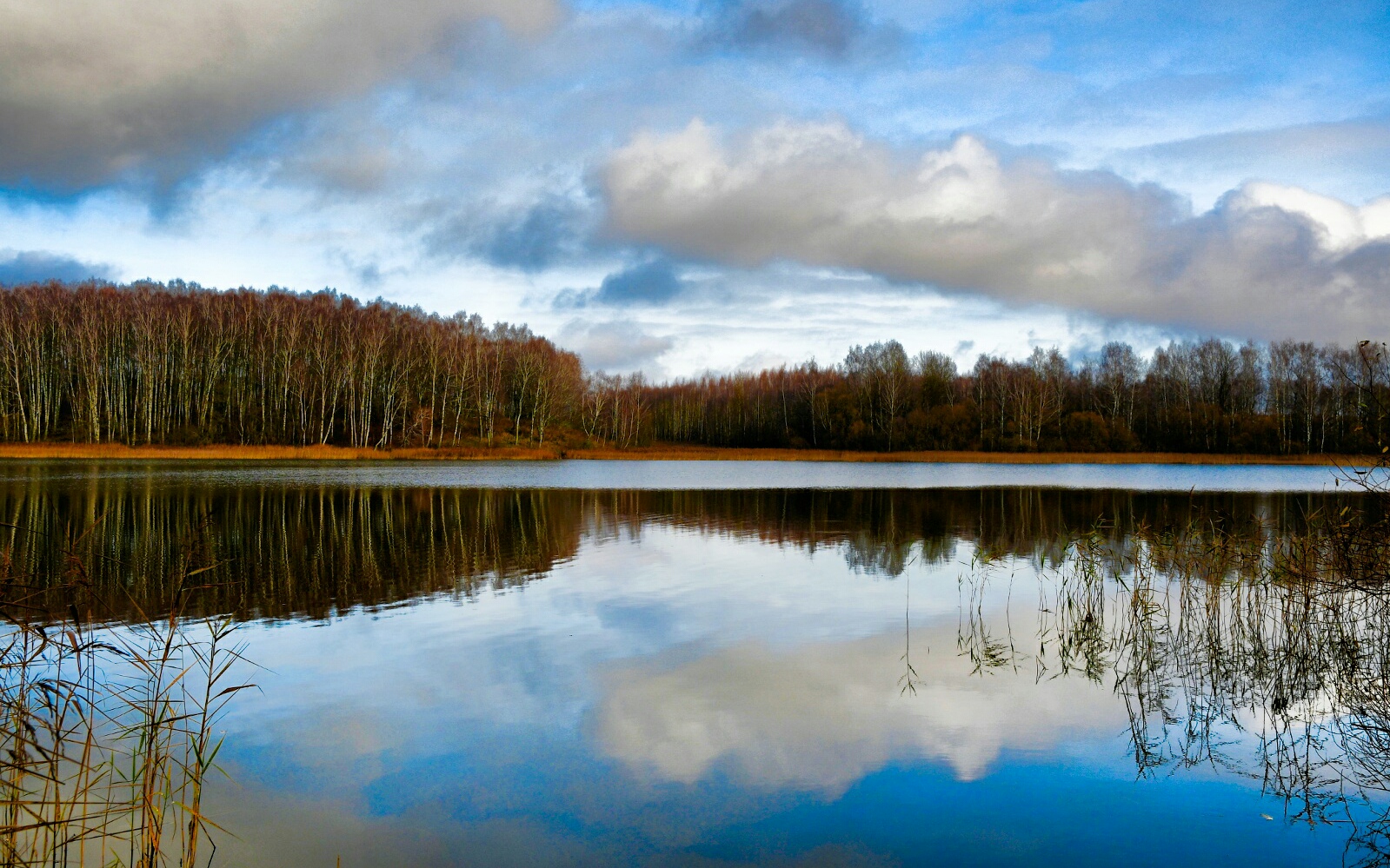 Природа Смоленщины 