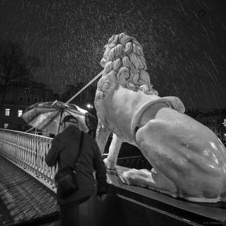 Львиный мост. С-Пб., ноябрь 2025.