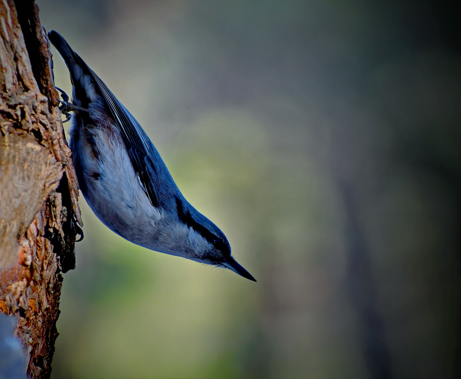 Прощание с летом.