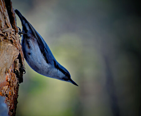 Прощание с летом.