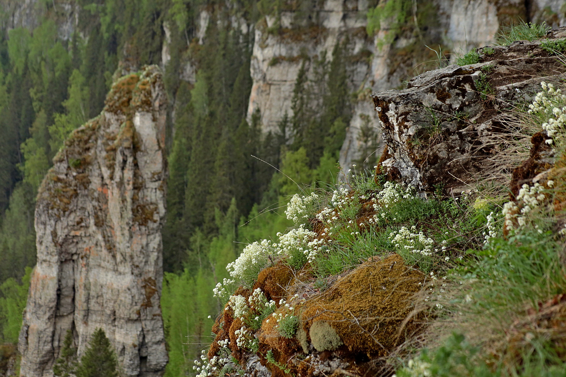 Каменный Страж 3