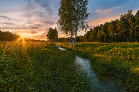 летний вечер