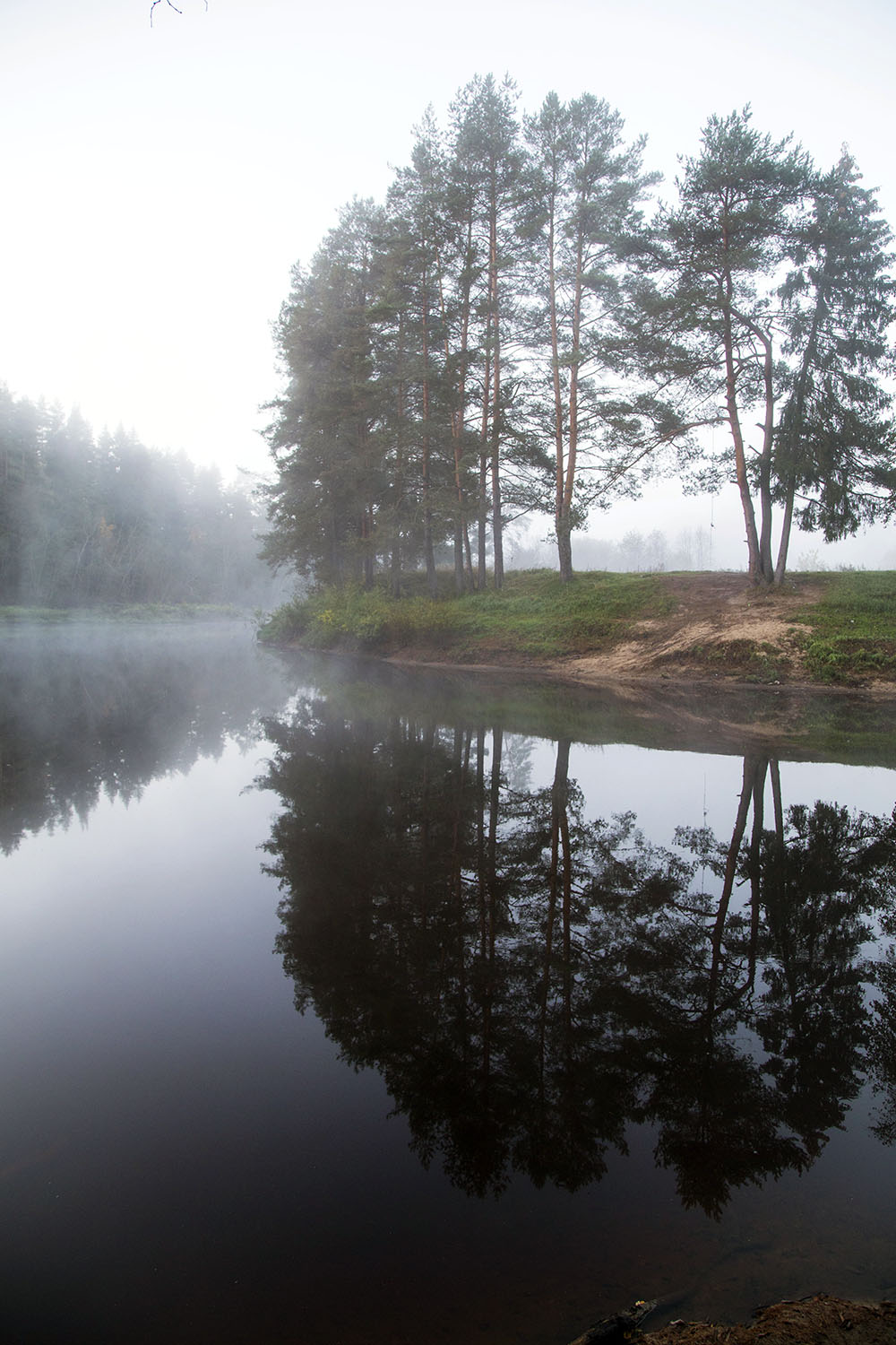 Утро туманное