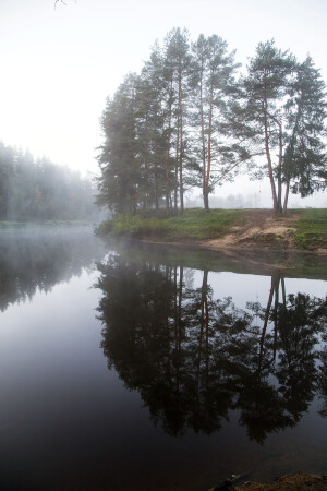 Утро туманное