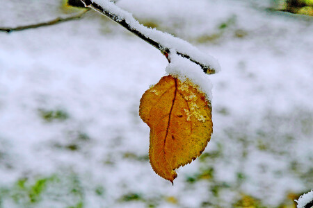 Вот и снег украсил пейзаж.
