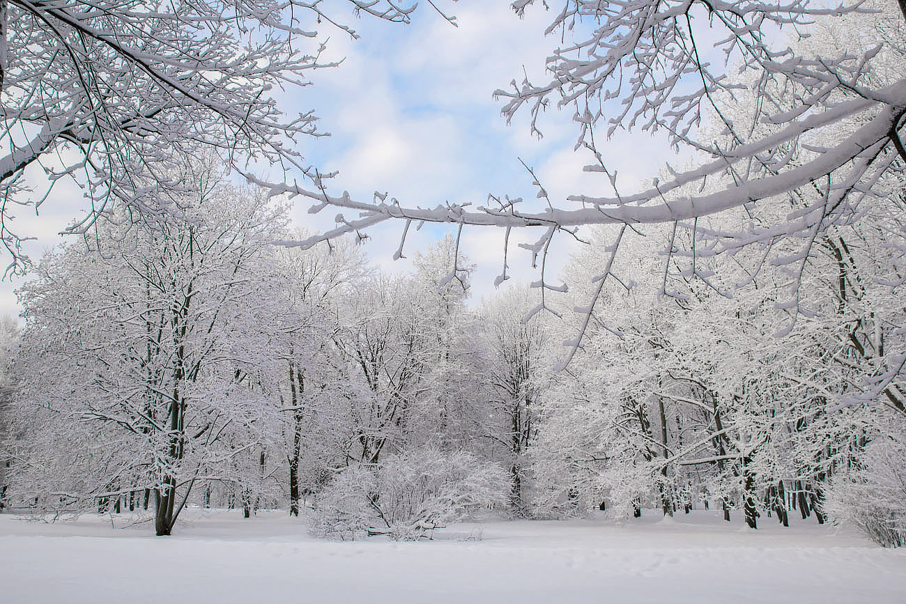 Зима пришла